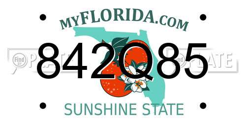 842Q85 Florida License Plate