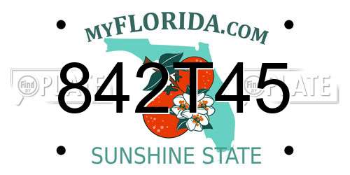 842T45 Florida License Plate