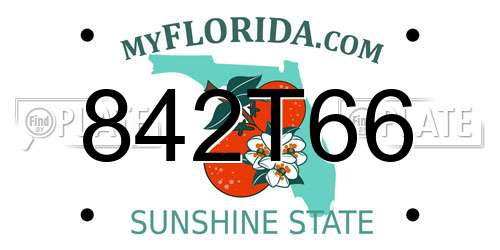 842T66 Florida License Plate