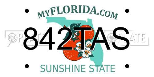 842TAS Florida License Plate