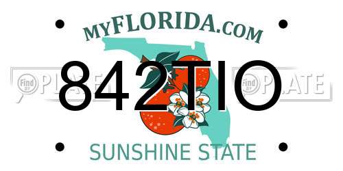 842TIO Florida License Plate