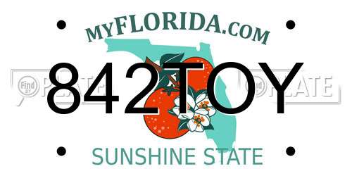 842TOY Florida License Plate