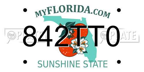 842TT0 Florida License Plate
