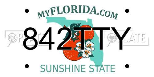 842TTY Florida License Plate