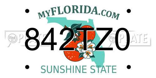 842TZ0 Florida License Plate