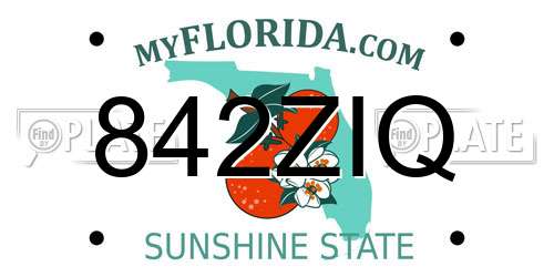 842ZIQ Florida License Plate