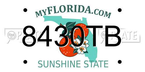 8430TB Florida License Plate