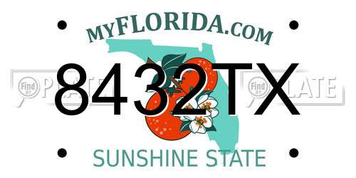 8432TX Florida License Plate