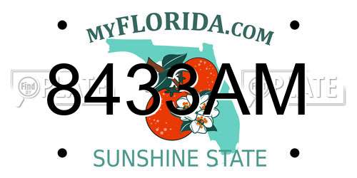 8433AM Florida License Plate