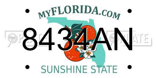 8434AN Florida License Plate