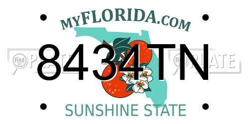 8434TN Florida License Plate