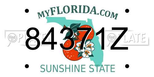 84371Z Florida License Plate