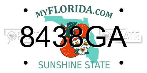 8438GA Florida License Plate