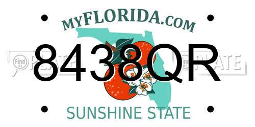 8438QR Florida License Plate