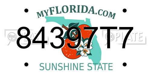 84397T7 Florida License Plate