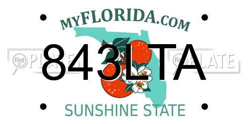 843LTA Florida License Plate