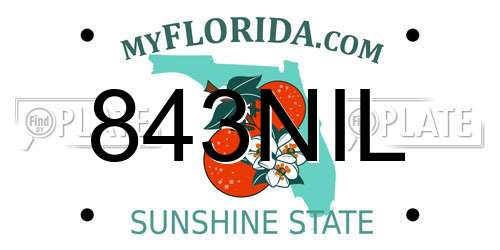 843NIL Florida License Plate
