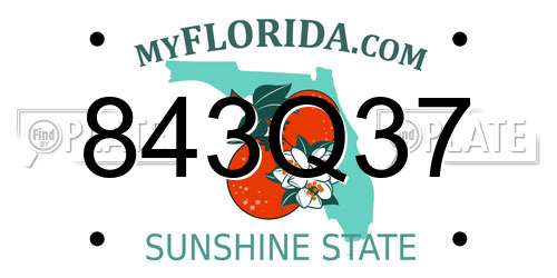 843Q37 Florida License Plate