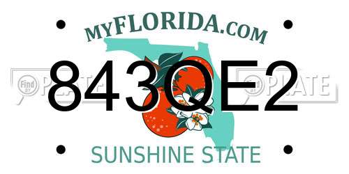 843QE2 Florida License Plate