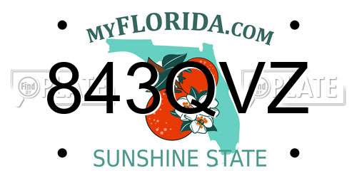 843QVZ Florida License Plate