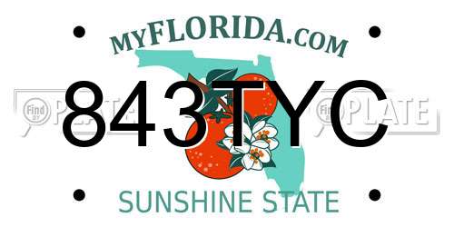 843TYC Florida License Plate