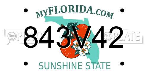 843V42 Florida License Plate