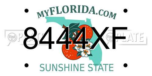 8444XF Florida License Plate