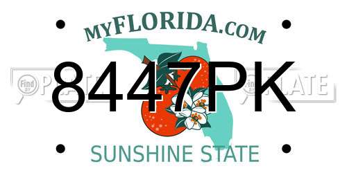 8447PK Florida License Plate