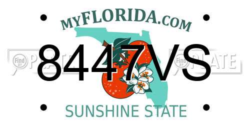 8447VS Florida License Plate