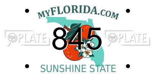 845 Florida License Plate