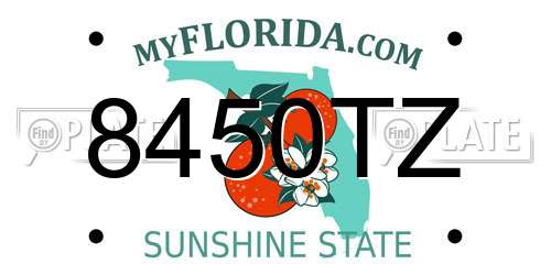 8450TZ Florida License Plate