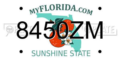 8450ZM Florida License Plate