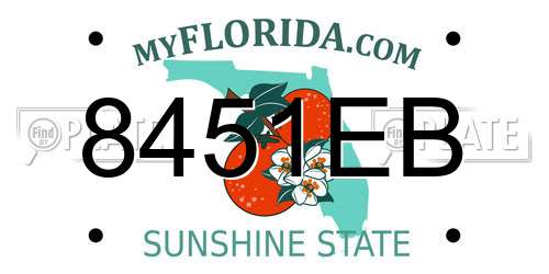 8451EB Florida License Plate