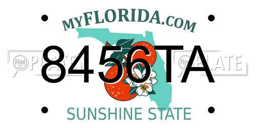 8456TA Florida License Plate