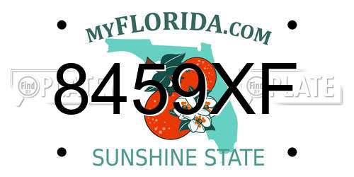 8459XF Florida License Plate