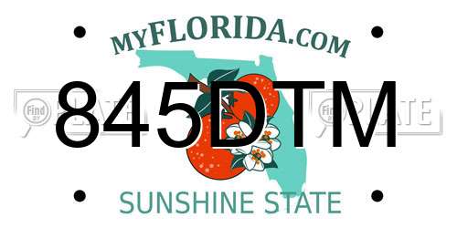 845DTM Florida License Plate