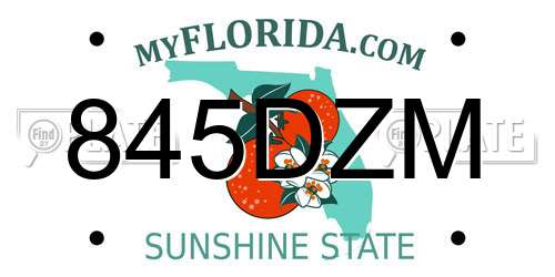 845DZM Florida License Plate