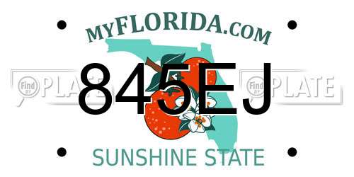 845EJ Florida License Plate