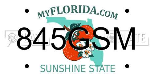 845GSM Florida License Plate