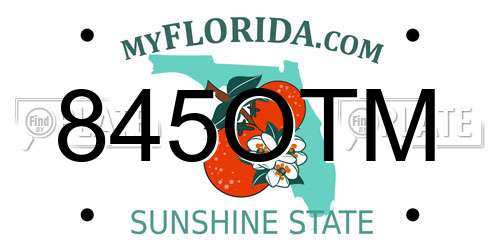 845OTM Florida License Plate