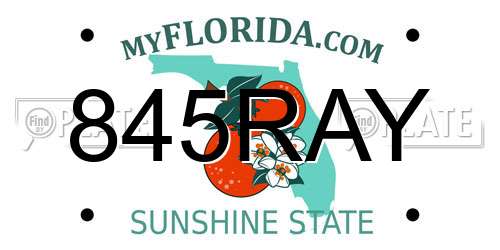 845RAY Florida License Plate