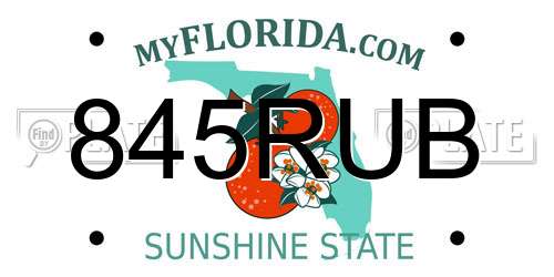 845RUB Florida License Plate