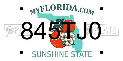 845TJ0 Florida License Plate