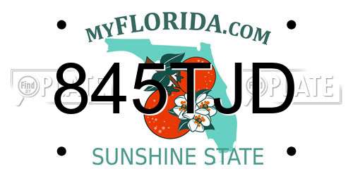 845TJD Florida License Plate