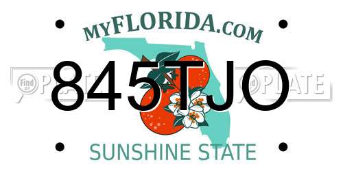 845TJO Florida License Plate