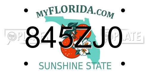 845ZJ0 Florida License Plate
