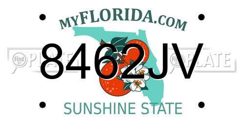 8462JV Florida License Plate