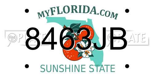 8463JB Florida License Plate
