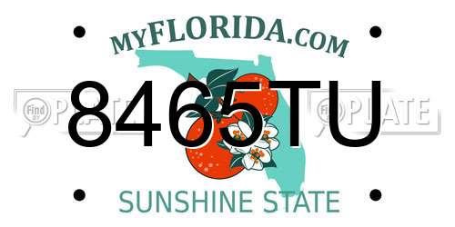 8465TU Florida License Plate
