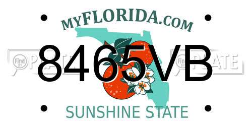 8465VB Florida License Plate